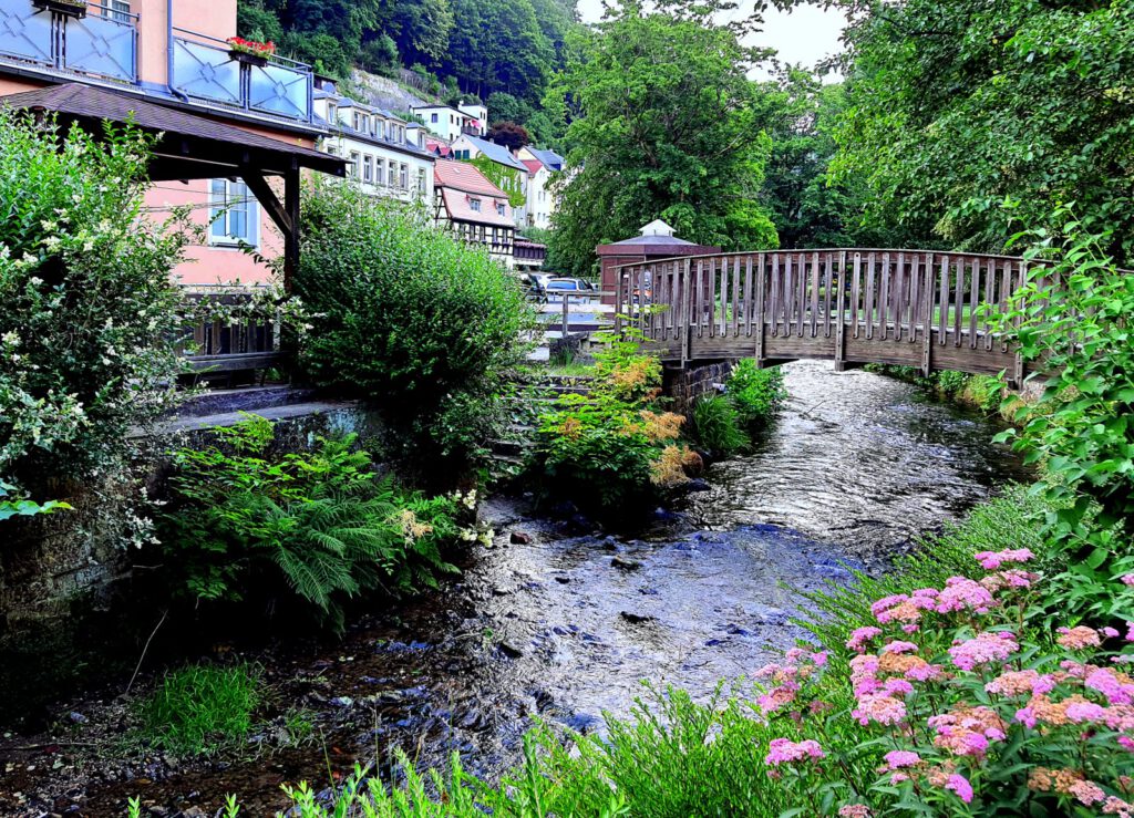 Die Kirnitzsch am ArtHouse